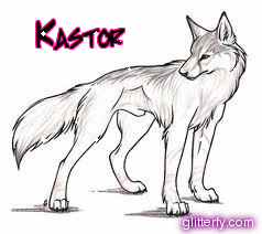 kastor.gif